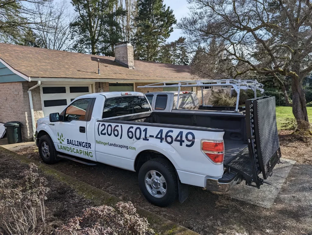 Professional Landscaping Company in Washington Area