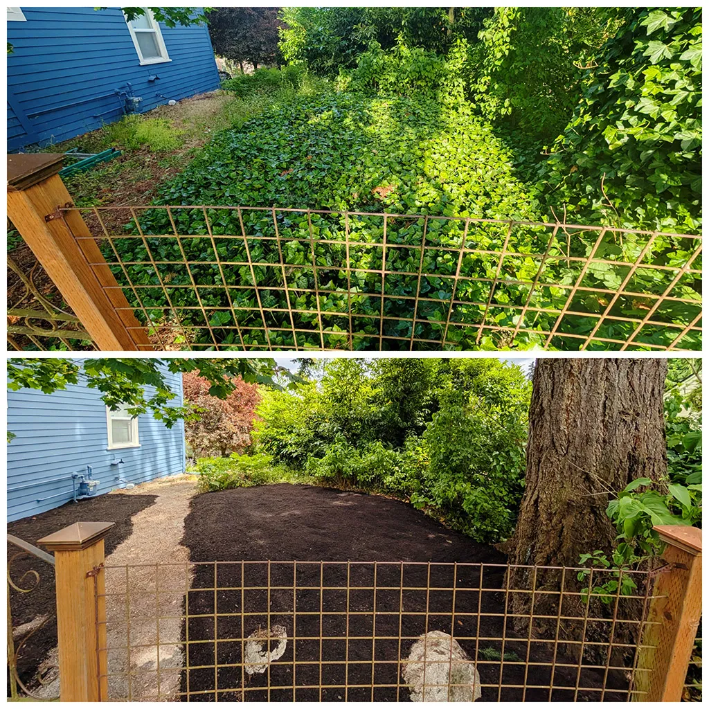 Ballinger Landscaping