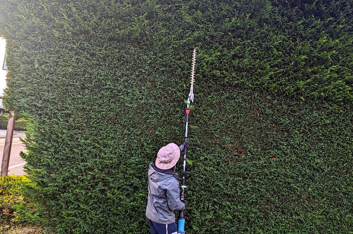 Commercial Garden Maintenance in Washington Area