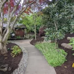 Professional Landscaping and Maintenance in Lake Forest Park