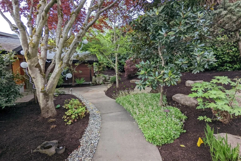 Professional Landscaping and Maintenance in Lake Forest Park