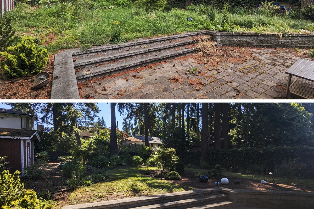 Property Cleanups Service in Washington Area