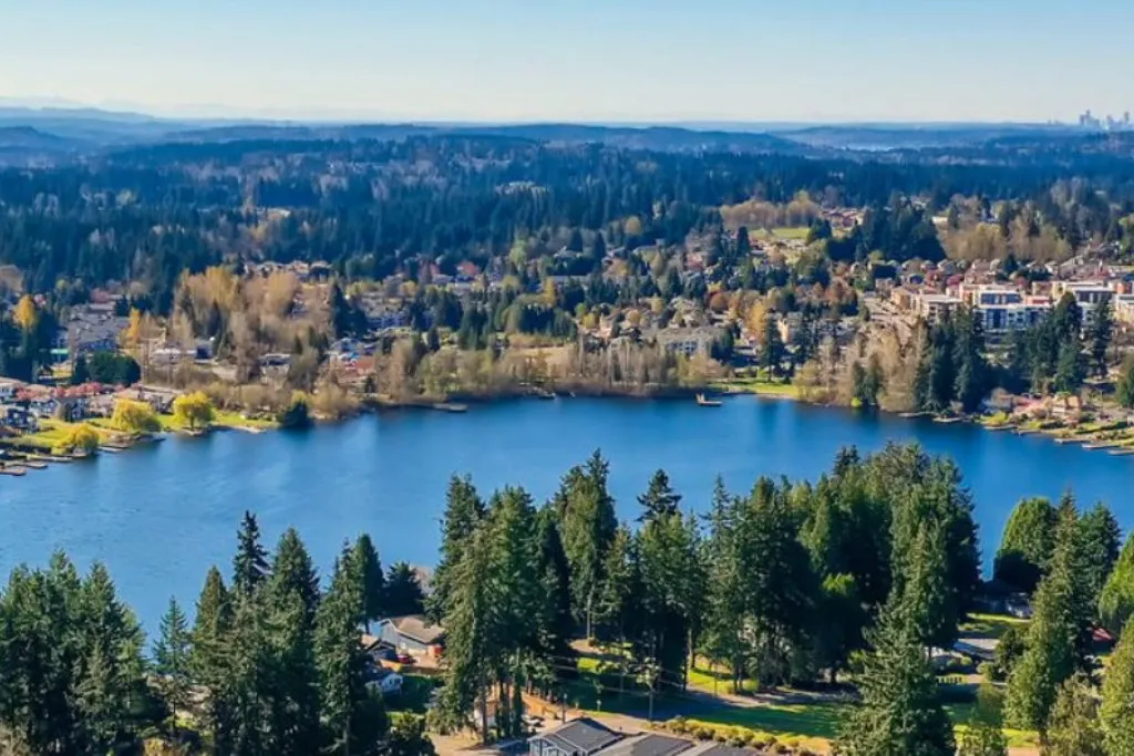 Landscaping and Maintenance Services in Washington, USA