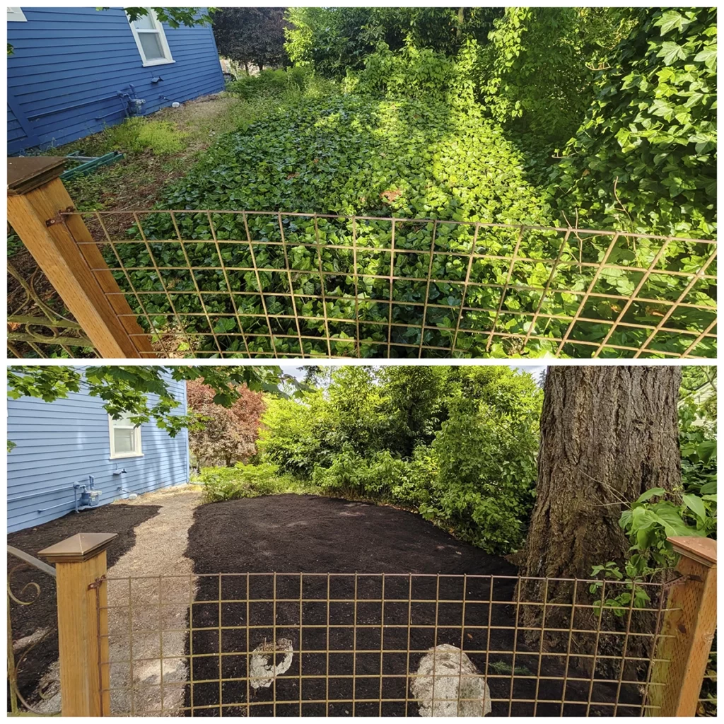 cleanup and mulch installation