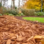 Mulch, Soil, and Plant Installation in Winter: Tips for Washington Homeowners