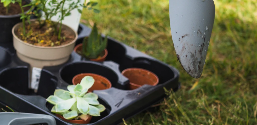 Mulch, Soil, and Plant Installation in Winter