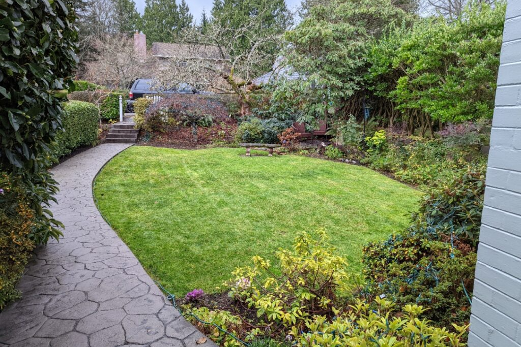 Winter Property Cleanups: Should Do in December - WA