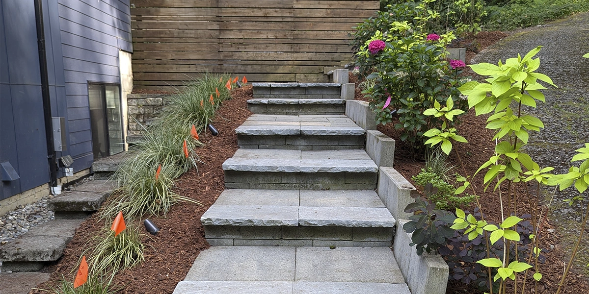 Essential Tips for Fertilizing Your Lawn in Shoreline