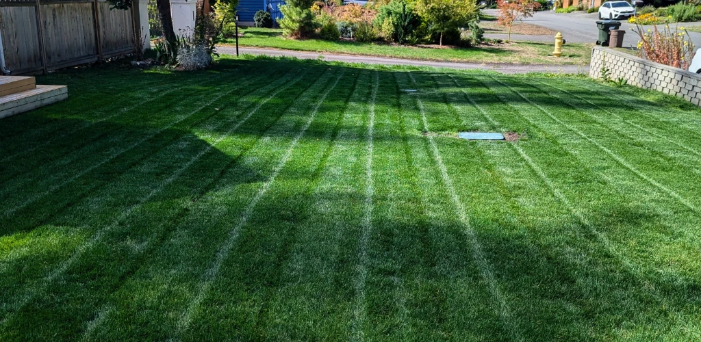 Get Your Yard Ready for Spring in Washington