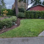 Get Your Yard Ready for Spring: What to Consider?