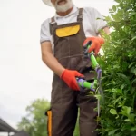 Hedge and Shrub Maintenance in Early Winter: Tips for Washington Homeowners