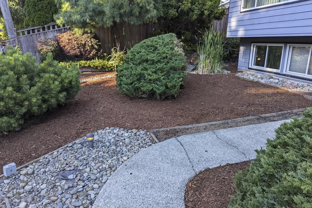 Plant and Shrub Pruning and Trimming Tips for Shoreline