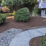 Plant and Shrub Pruning and Trimming Tips for Shoreline
