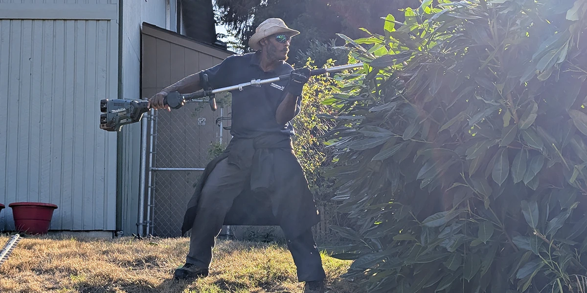 Plant and Shrub Pruning and Trimming Tips