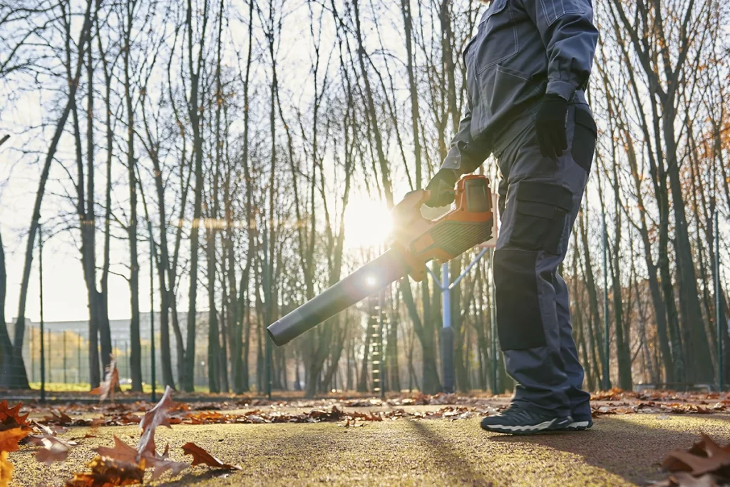 Essential Late-Winter Landscape Maintenance in Washington