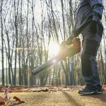 Essential Late-Winter Landscape Maintenance in Washington