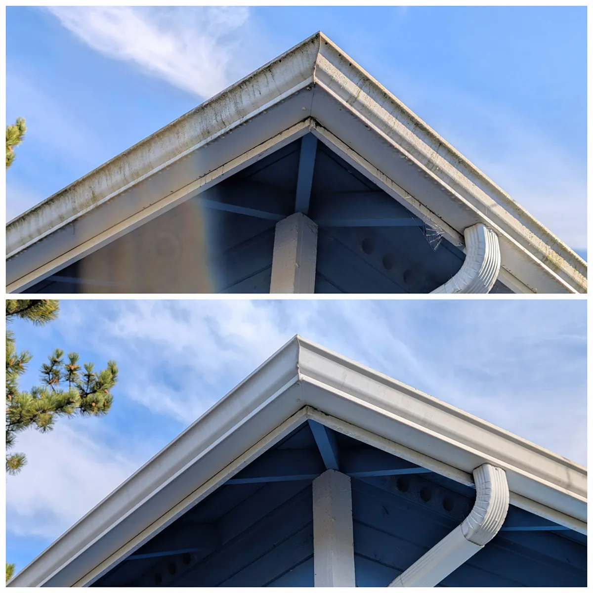 Canoe Cleaning in Shoreline WA