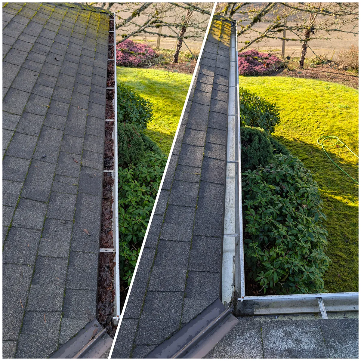 Canoe Cleaning in Shoreline WA