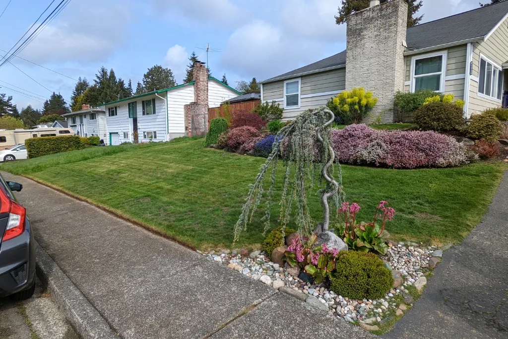 Activate your lawn after winter