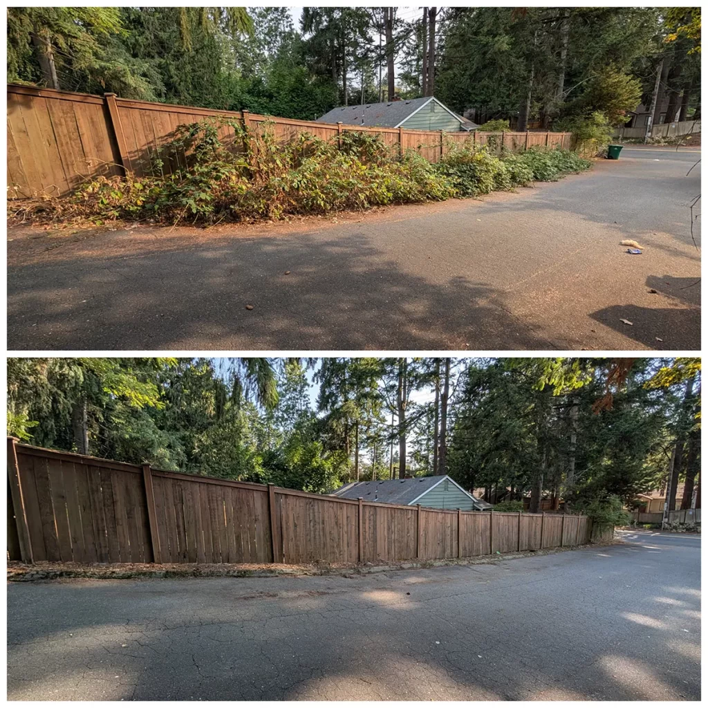 Property Cleanup in Shoreline, WA