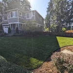 Best Lawn Mowing Practices for Healthy Summer Grass