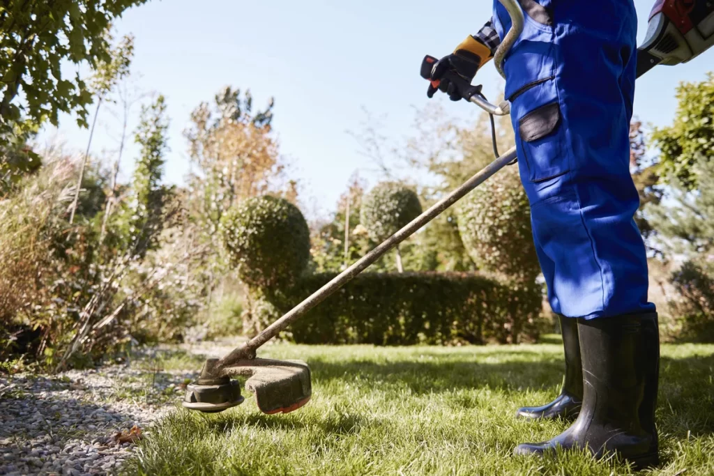 Summer Yard Cleanup Tips in Shoreline, WA | Ballinger Landscaping