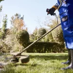 Summer Yard Cleanup Tips for a Healthier, Safer Landscape